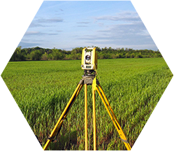 Тип